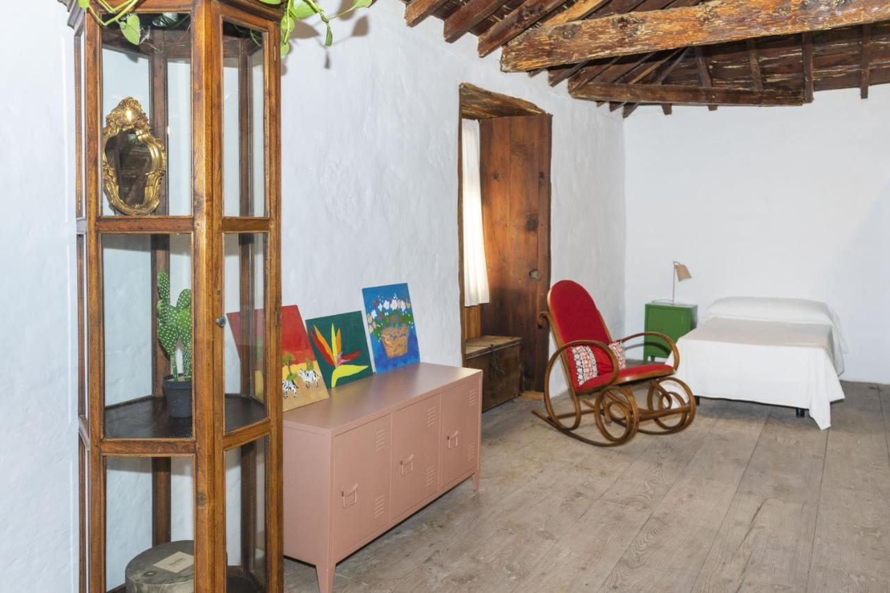 阿罗纳Cactus Coliving & Coworking住宿加早餐旅馆 外观 照片