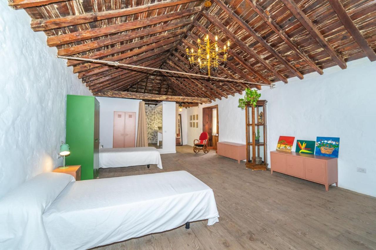 阿罗纳Cactus Coliving & Coworking住宿加早餐旅馆 外观 照片