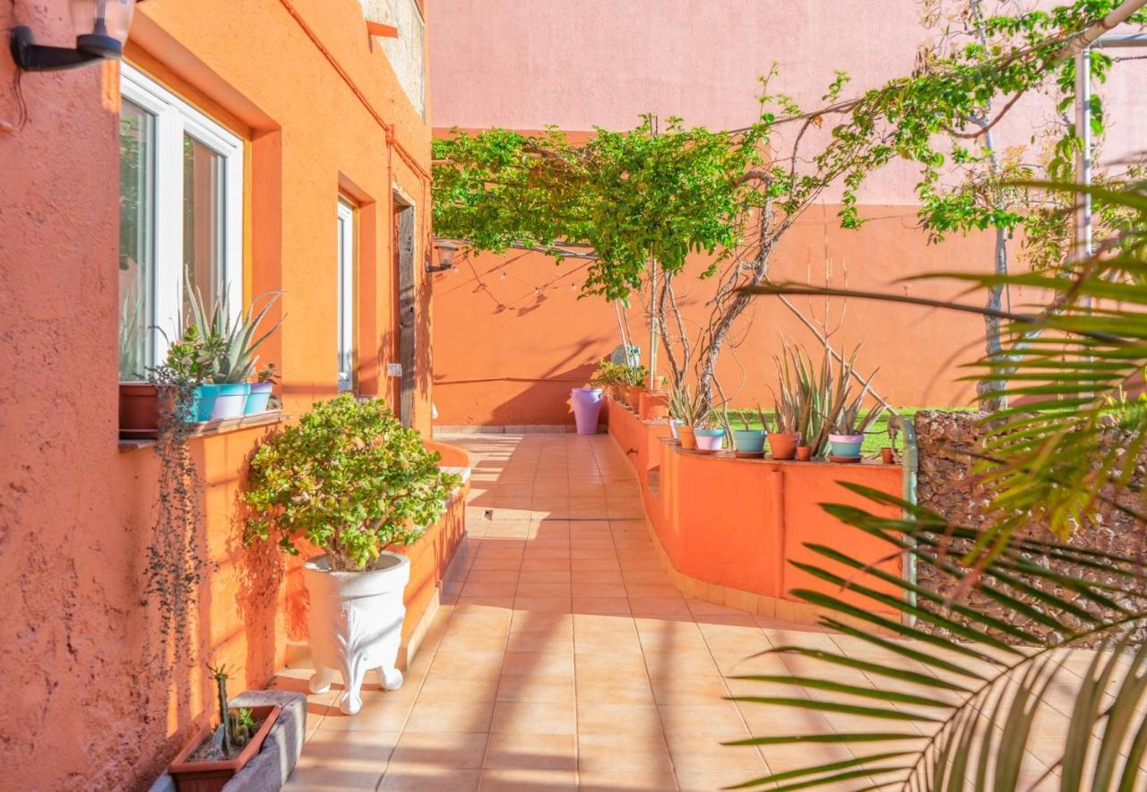 阿罗纳Cactus Coliving & Coworking住宿加早餐旅馆 外观 照片